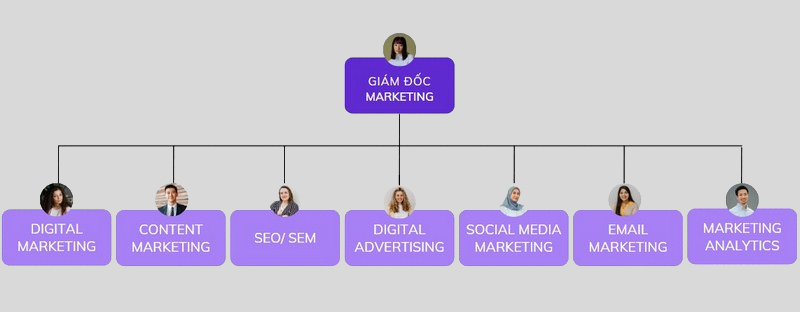 Phòng marketing của doanh nghiệp lớn có nhiều vị trí chuyên môn