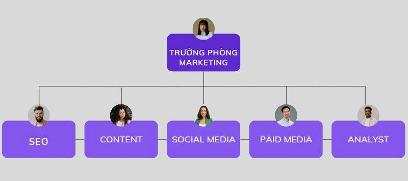 Phòng marketing của doanh nghiệp vừa có các vị trí cơ bản