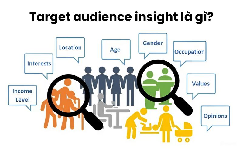 Target Audience chia thành nhiều nhóm dựa vào đặc điểm nhân khẩu học và hành vi 