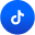 TikTok icon