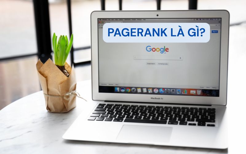 Tìm về định nghĩa PageRank và sự thật cần biết