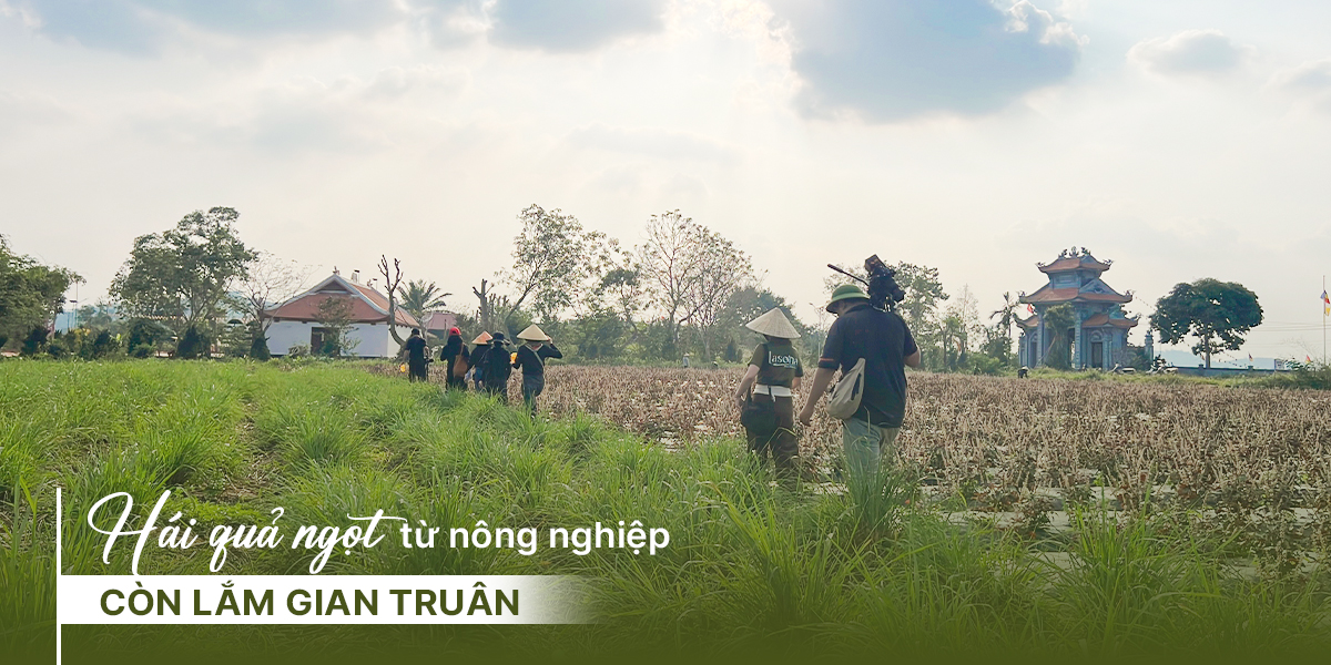 Banner hiển thị
