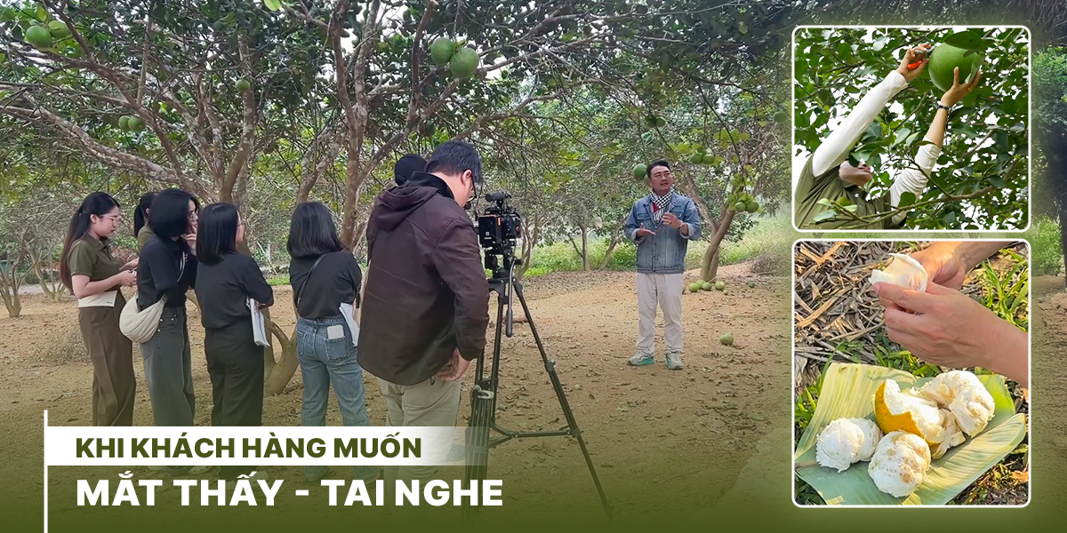Banner hiển thị