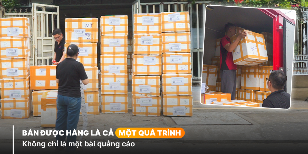 Banner hiển thị